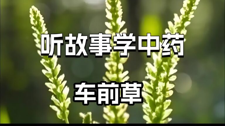 听中药学故事